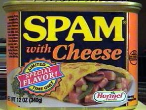 Spam with cheese